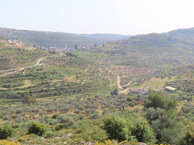 محمية وادي الدلب - Image 1