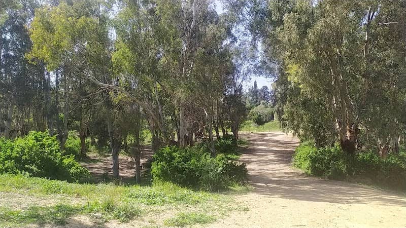 Megrine Fitness Trail - Image 1