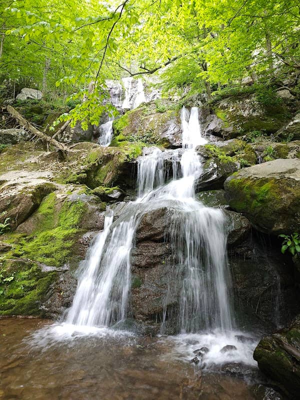 Dark Hollow Falls Trailhead - Image 3