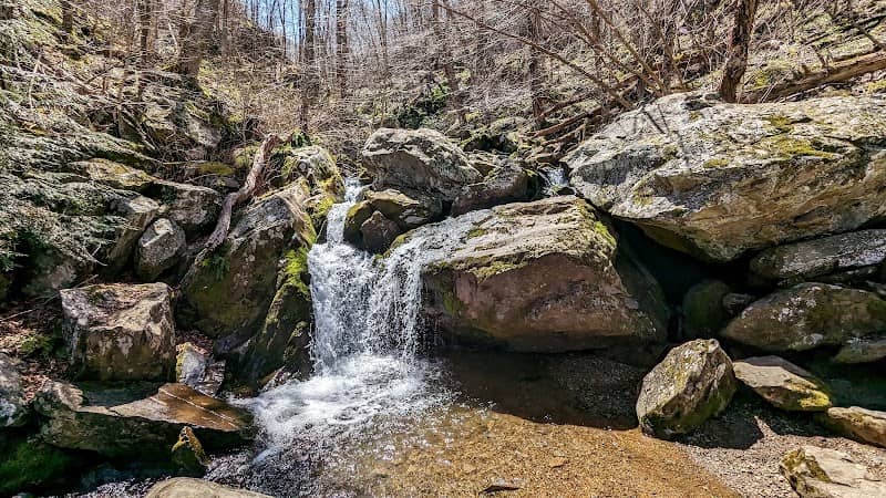Dark Hollow Falls Trailhead - Image 2