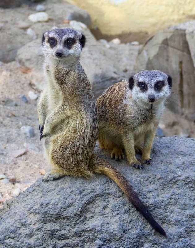 Delitzsch Zoo - Image 1