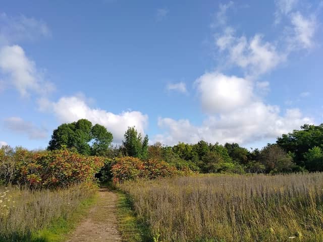 Trent University Nature Areas - Image 2