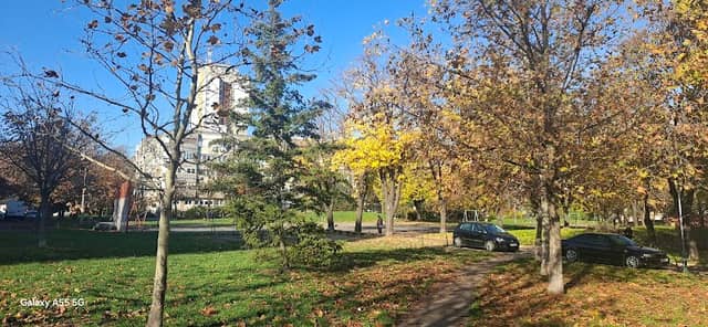 Park Sava Kovačević - Image 1
