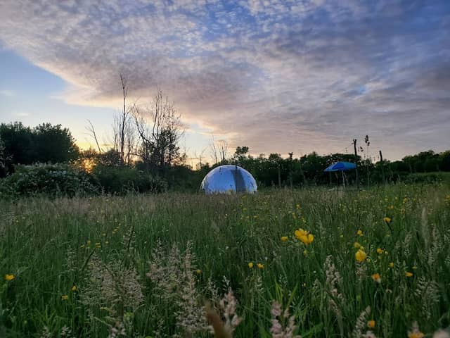 Dome in wildlife - Image 2