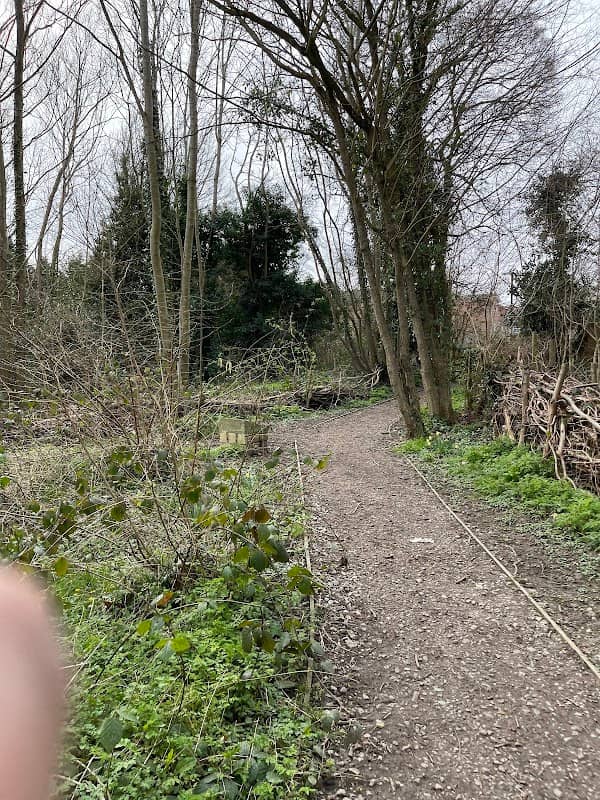 Priory Wood Public Open Space - Image 3