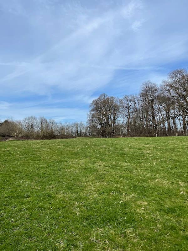 Priory Wood Public Open Space - Image 1