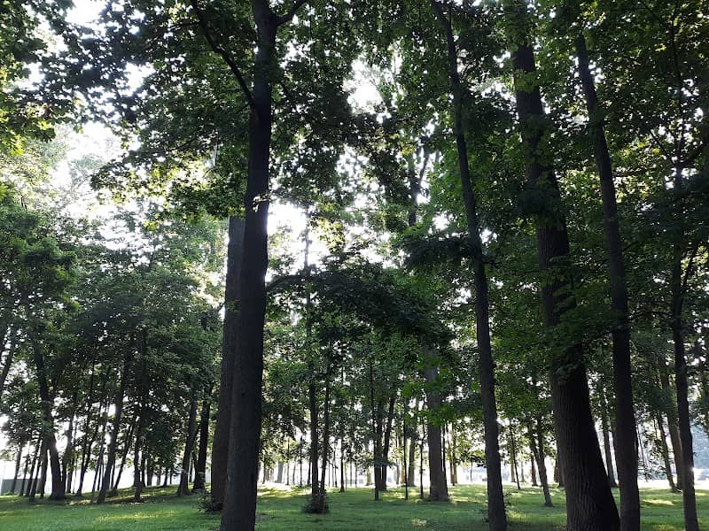 Gloninger Woods Park - Image 1