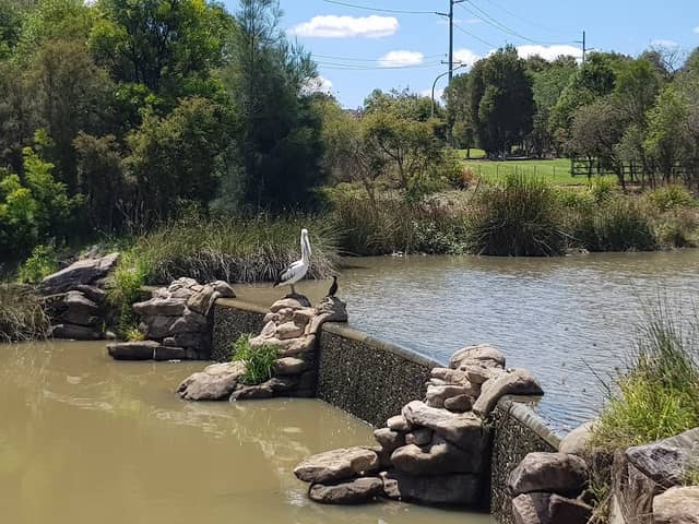 Blue Hills Wetland - Image 2