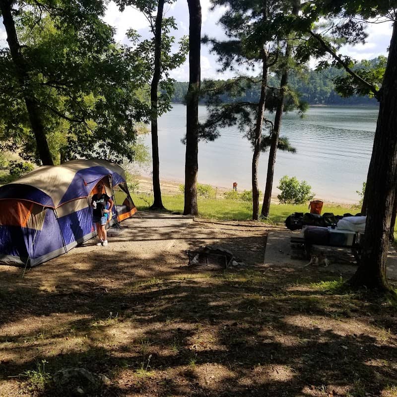 Daisy State Park - Image 1