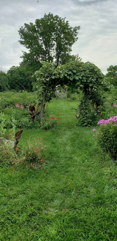 Cambridge Community Garden - Image 1
