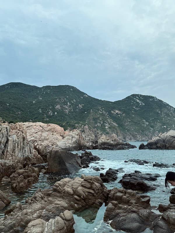 Hòn Rùa Vịnh Vĩnh Hy - Image 2