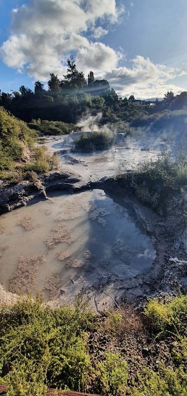 Wairewarewa Mudpools Viewing Area - Image 2