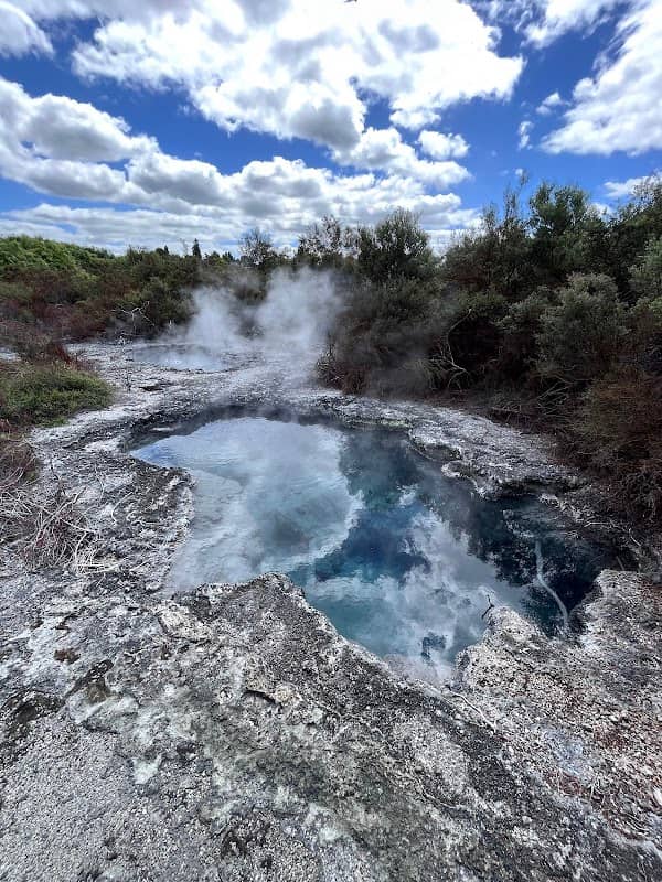 Wairewarewa Mudpools Viewing Area - Image 3