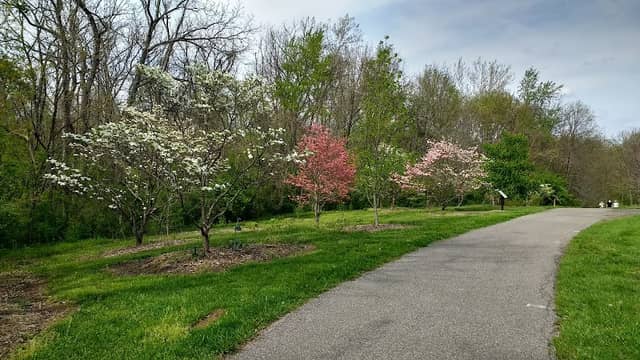 Boone County Arboretum - Image 2