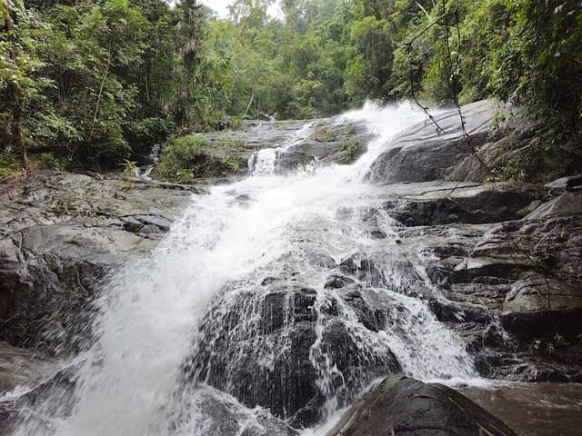 Khao Lak-Lam Ru National Park - Image 1