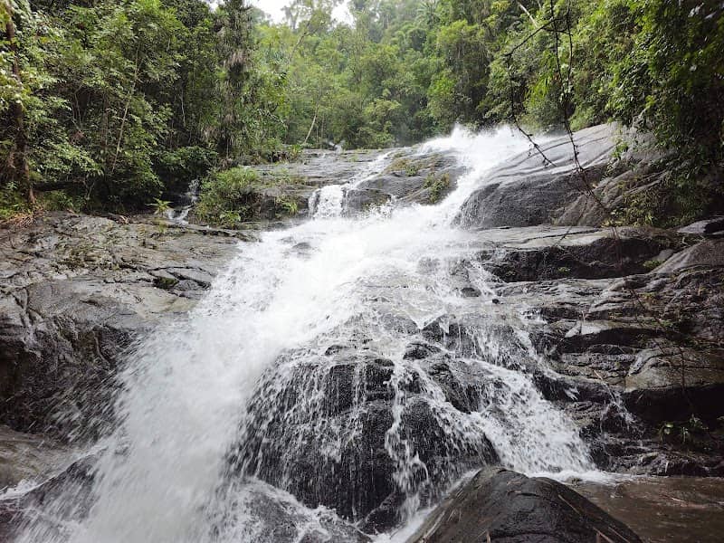 Khao Lak-Lam Ru National Park - Image 1