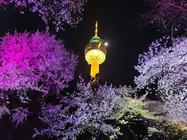 Daegu 83 Tower - Image 1