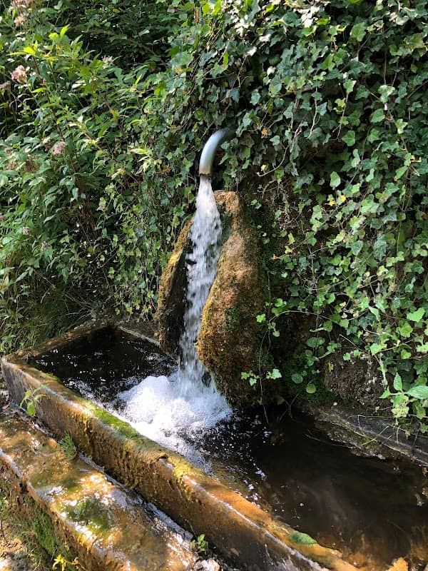 Elefantenbrunnen - Image 1