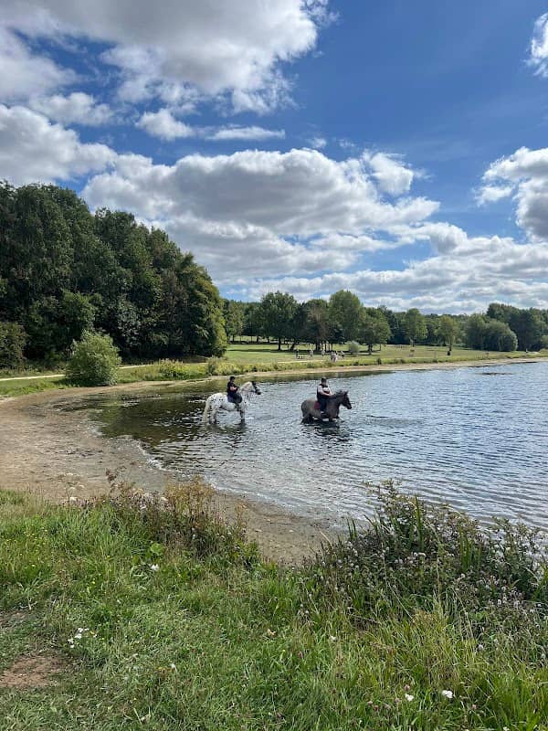Hetton Lyons Country Park - Image 1