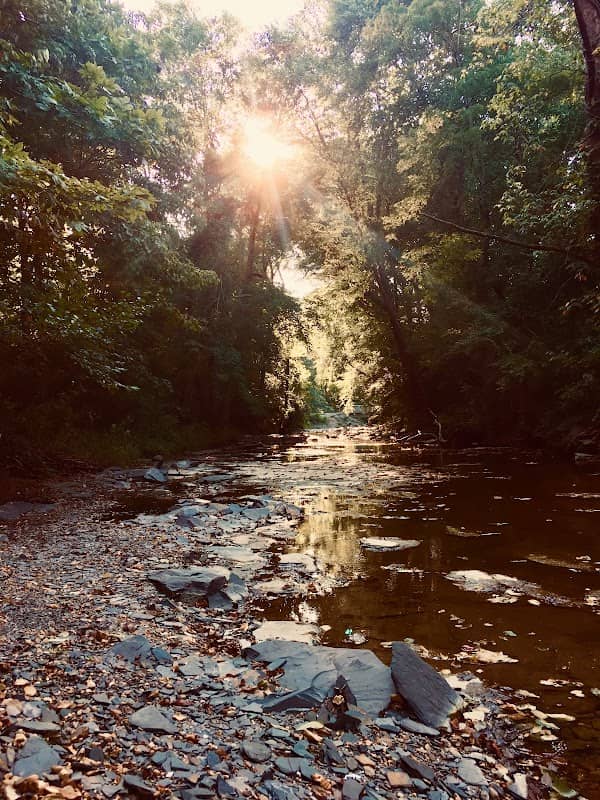 Silver Creek, John Stephenson Trail - Image 2