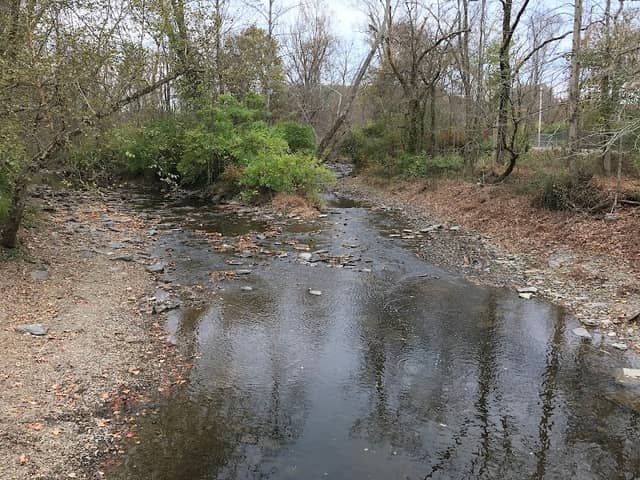 Silver Creek, John Stephenson Trail - Image 1