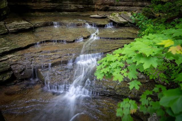 Clifty Falls State Park - Image 2