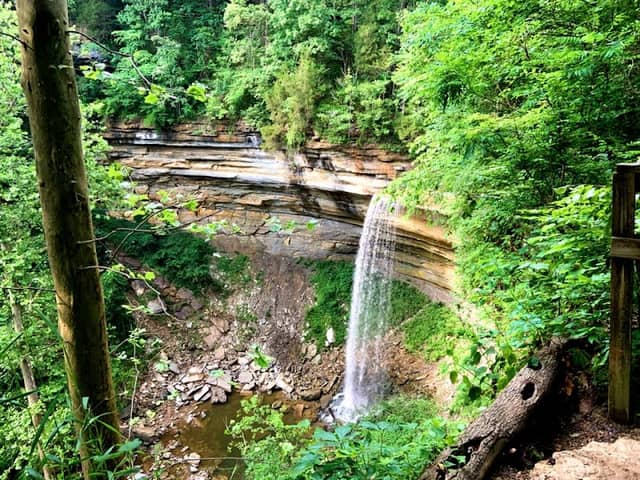 Clifty Falls State Park - Image 3