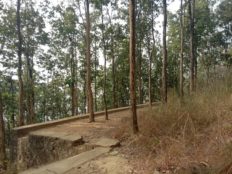 Top of Butwal Hillpark - Image 1
