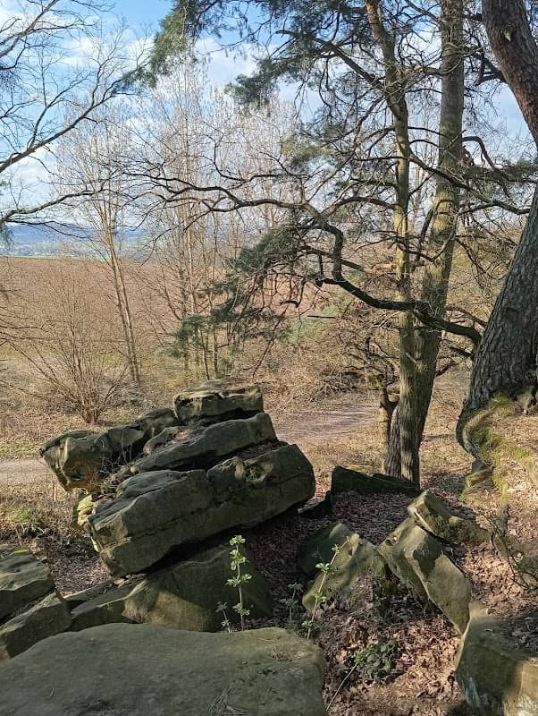 Felsenmeer oder Han(d)steinsgraben - Geotour Felsenmeer - Image 1