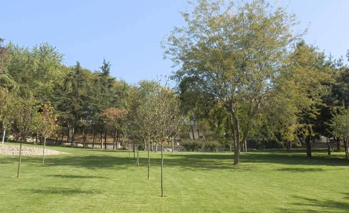 İBB Maçka Democracy Park - Image 2