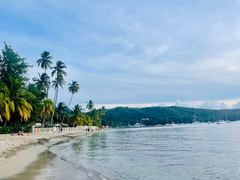 Plage de Grande Anse d'Arlet - Image 3