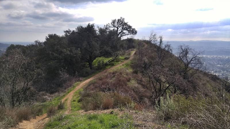 Colby Trail - Image 1