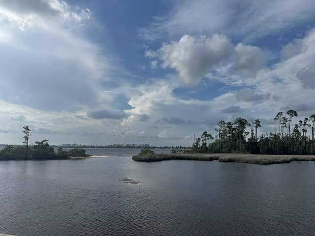 Lynn Haven Conservation Park Hiking Trail - Image 1