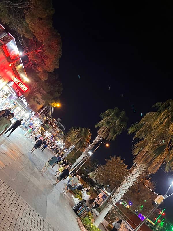 Ay Işığı tepesi Didim - Image 1