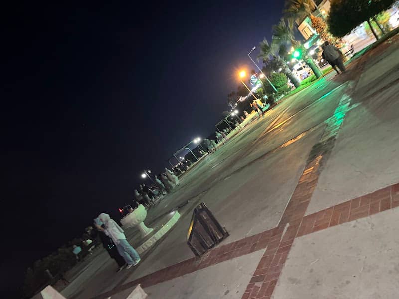 Ay Işığı tepesi Didim - Image 2