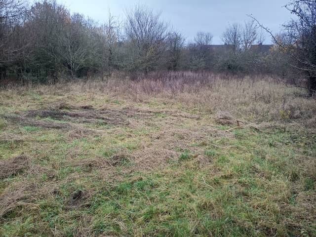 Mumbery Hill Nature Reserve - Image 1