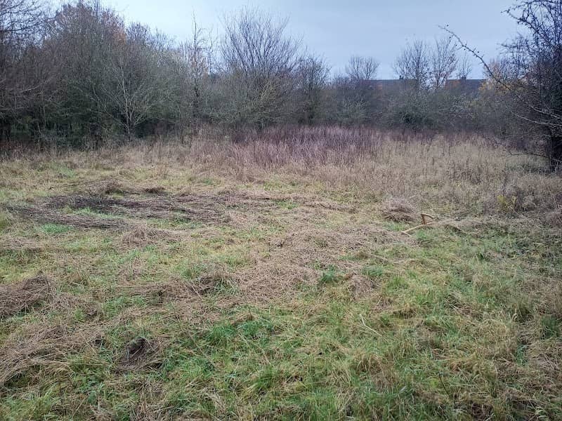 Mumbery Hill Nature Reserve - Image 1