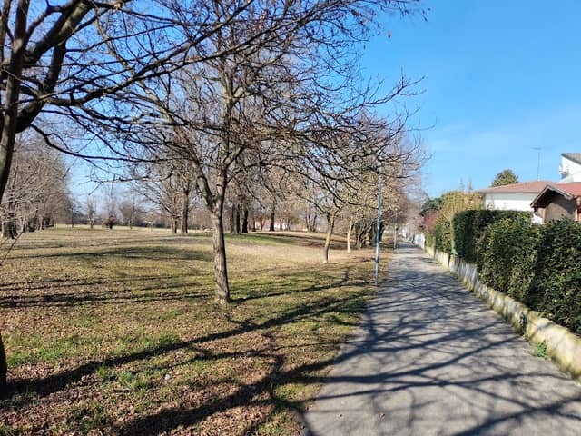 Parco verde - Image 2