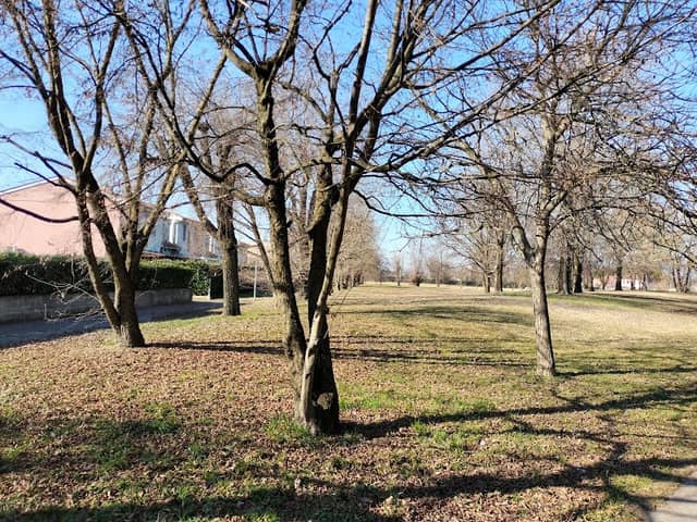 Parco verde - Image 1