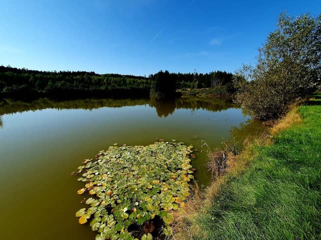 Rybník Jánošík - Image 1