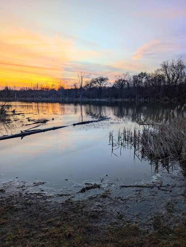 Side Cut Metropark - Siegert Lake area - Image 2