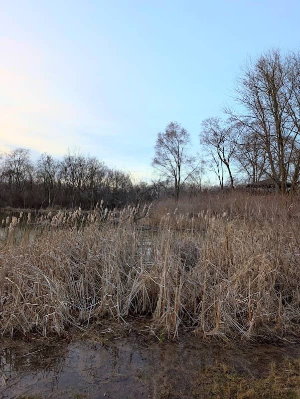Side Cut Metropark - Siegert Lake area - Image 1