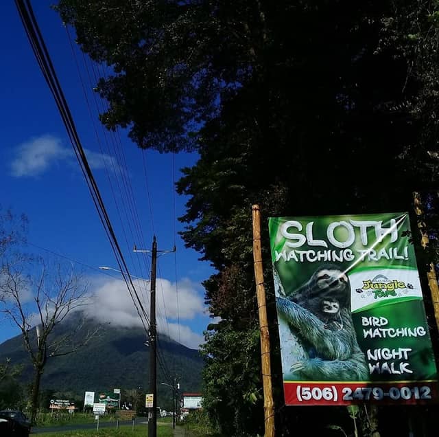 Sloth Watching Trail La Fortuna, Sloth Park - Image 1
