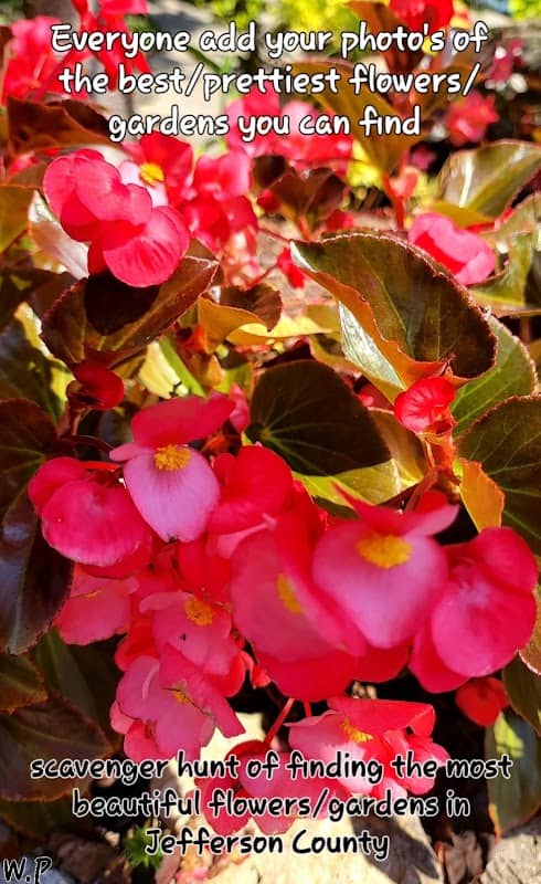 Gardens of Jefferson County - Image 1