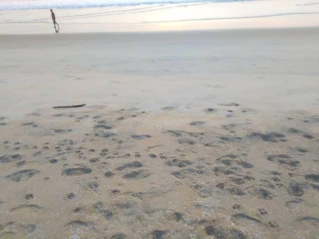velliyaparamba backwaters beach - Image 3
