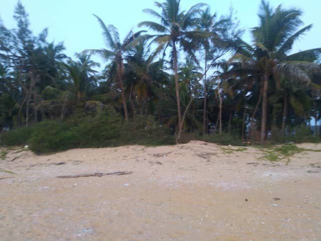 velliyaparamba backwaters beach - Image 2