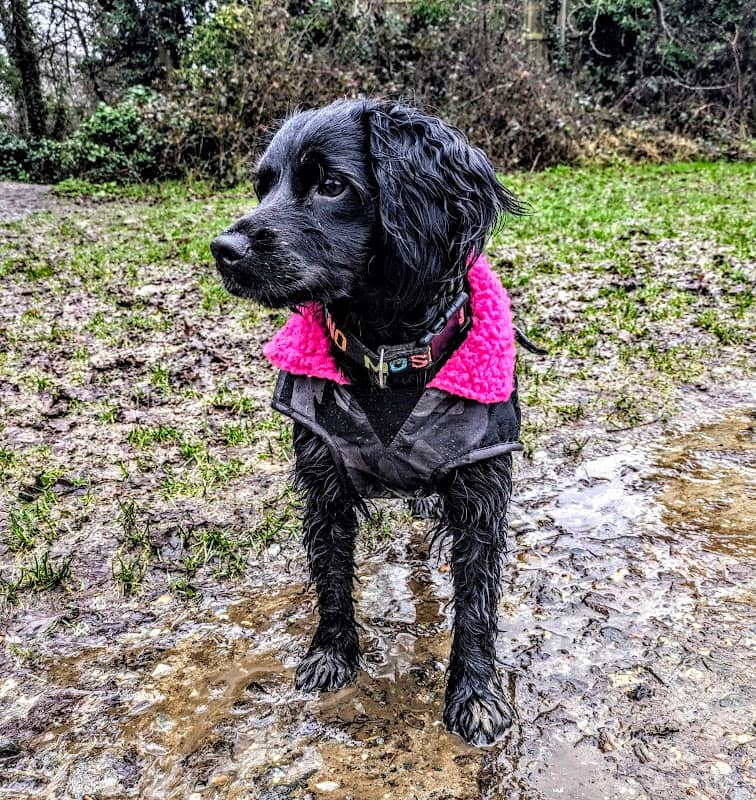 Longacres Park - Image 1