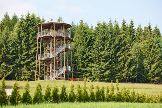Lookout tower - Oberbärenburg - Image 1