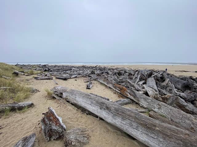 South Umpqua Jetty Beach Access - Image 3