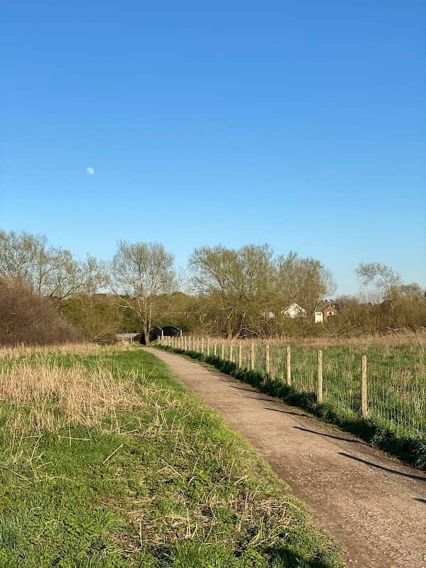 North Town Moor National Trust - Image 2